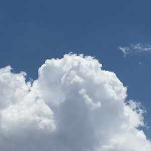 欧美男男🔞高潮片免费视频
